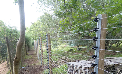 Green Dot Fencing - Electrical Fencing