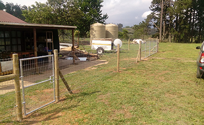 Green Dot Fencing - Wire Fencing